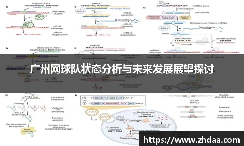 OB电竞官网
